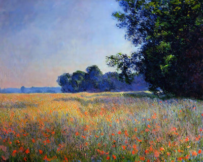 Oat and Poppy Field