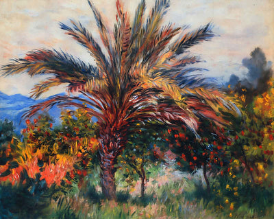 Palm Tree at Bordighera fine art print by Claude Monet (1884)