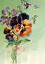 Pansies Tied with Pink Ribbon in 1907 Vintage Print (7 Sizes) - Restored