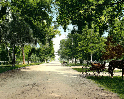 Park Avenue