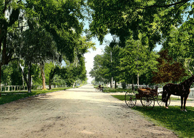 Park Avenue Jacksonville FL in 1907 Vintage Print (7 Sizes) - Premium Quality