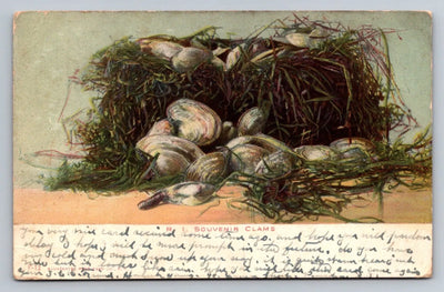 R. I. Souvenir Clams with 1c Stamp (Rhode Island) Vintage Postcard (circa 1906)