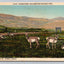 Pronghorns, Yellowstone National Park, Bozeman, Montana Vintage Postcard