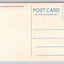 Greetings from California - Seagul, Hegull, Shegull (Bird) Vintage Postcard