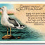 Greetings from California - Seagul, Hegull, Shegull (Bird) Vintage Postcard