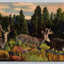 Three Little Deers, Rocky Mountains, Colorado Vintage Curt Teich Postcard
