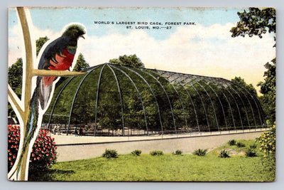 Largest Bird Cage, Forest Park, St. Louis, MO (Missouri) Vintage Postcard