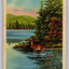 In His Native Wilds, Adirondack Mts. Deer, Lake Vintage Postcard