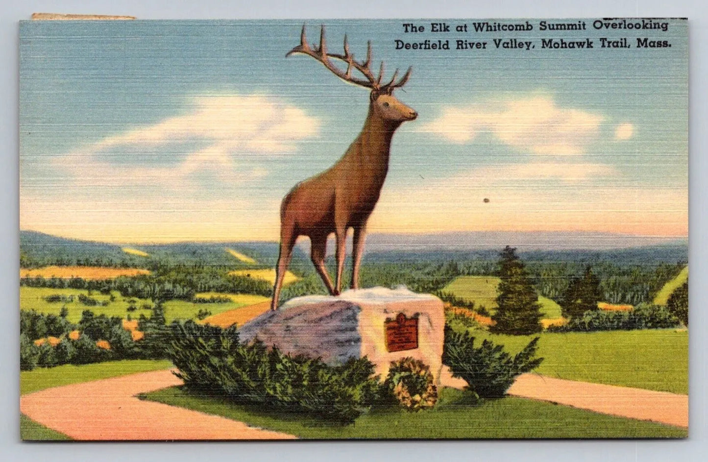 The Elk at Whitcomb Summit Overlooking Deerfield River Valley, Mass. Postcard