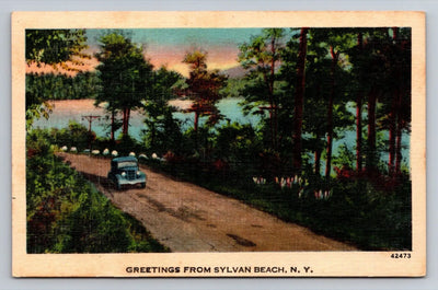 Greetings from Sylvan Beach, NY Vintage Postcard