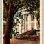 White House, South Porch and President's Garden, Washington DC Vintage Postcard