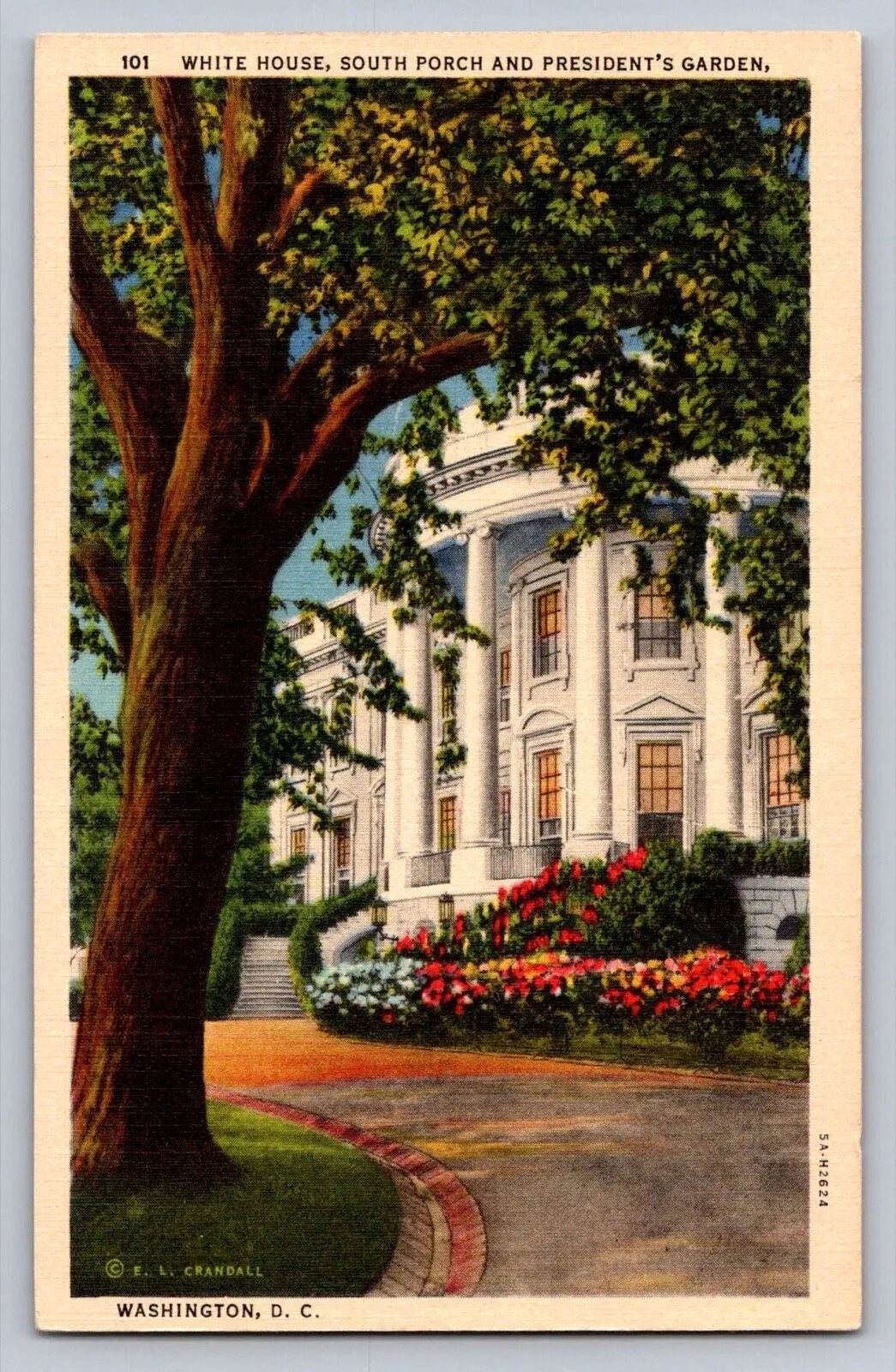 White House, South Porch and President's Garden, Washington DC Vintage Postcard