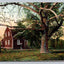 Betsy J. Williams Cottage, Roger Williams, Park, Providence, RI Vintage Postcard