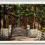 Entrance to the Hermitage, Home of President Jackson, Nashville. Tenn. Postcard