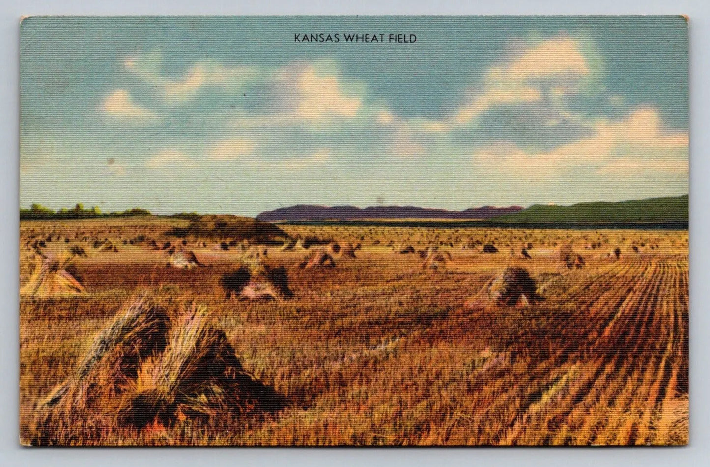 Kansas Wheat Field, Farm Vintage Postcard (circa 1947)