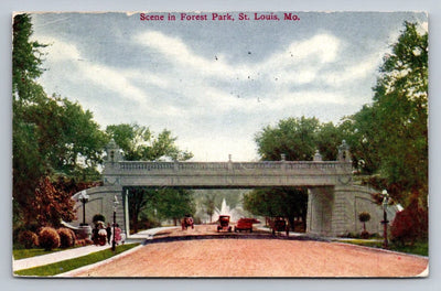 Scene in Forest Park, St. Louis, Missouri - Road and Bridge Vintage Postcard