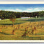 Curt Teich Farm Scene Vintage Postcard