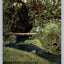 Intervale, NH, the Foot Bridge (New Hampshire) Vintage Postcard (circa 1905)