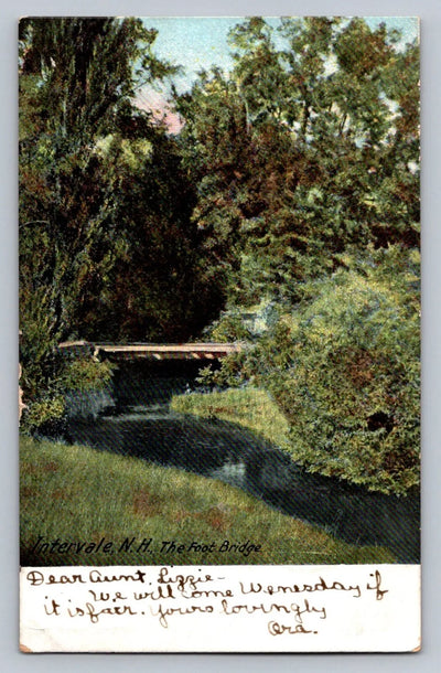 Intervale, NH, the Foot Bridge (New Hampshire) Vintage Postcard (circa 1905)