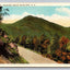 Mt. Webster, Crawford Notch, White Mts., NH - White Mountains Vintage Postcard