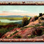 The Fulton Chain, Bald Mountain, Adirondack Mountains, New York Vintage Postcard