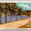 A View of Green Water Pond, Jacobs Trail, Mass. Vintage Postcard - Great!