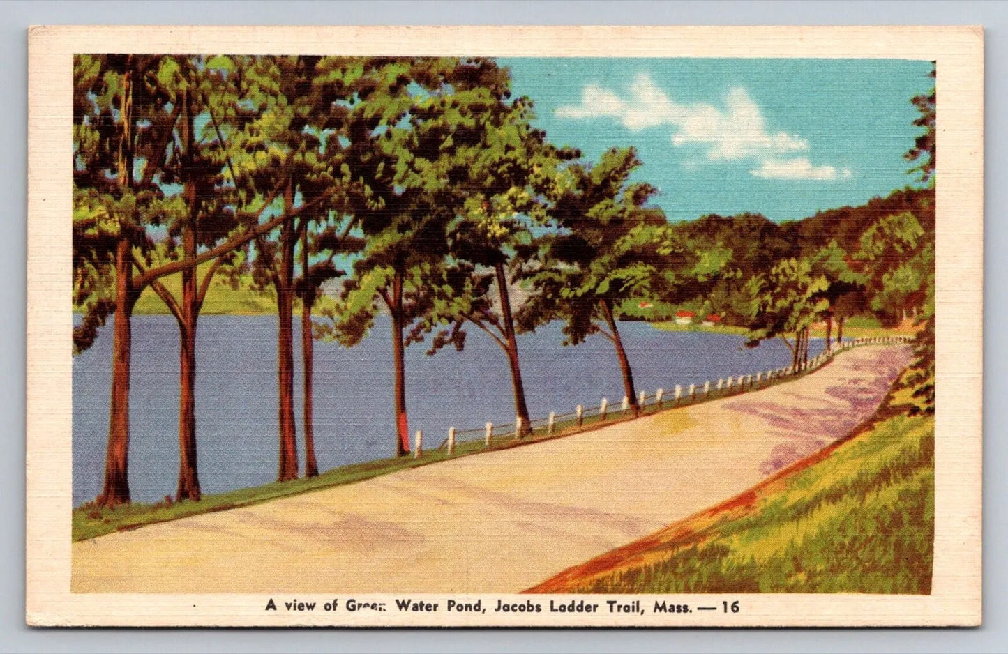 A View of Green Water Pond, Jacobs Trail, Mass. Vintage Postcard - Great!