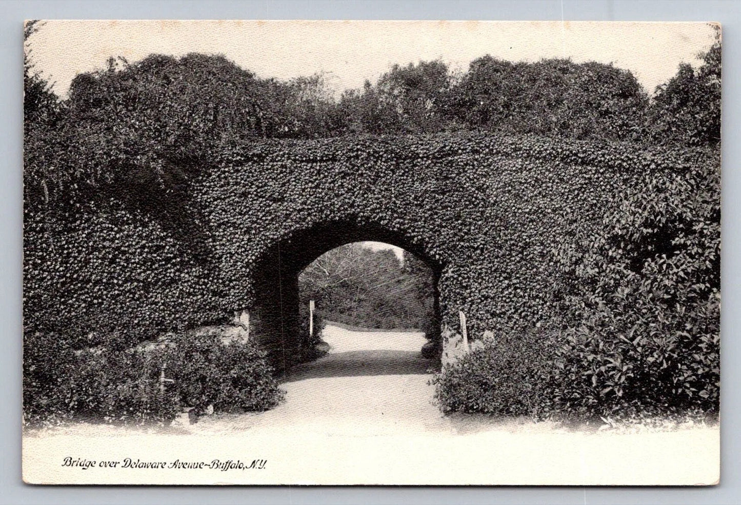 Bridge Over Delaware Avenue, Buffalo, NY Vintage Postcard - Great!