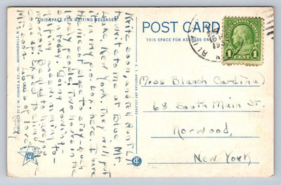 Head of Blue Mt. Lake Showing Little Blue Mt. Lake, New York Vintage Postcard