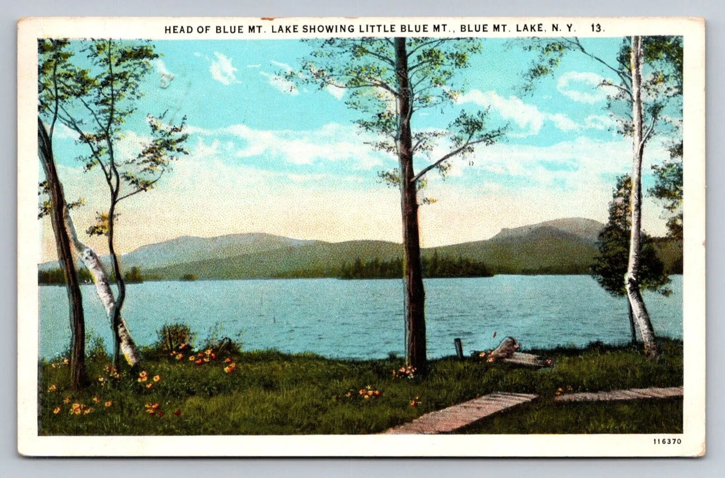 Head of Blue Mt. Lake Showing Little Blue Mt. Lake, New York Vintage Postcard