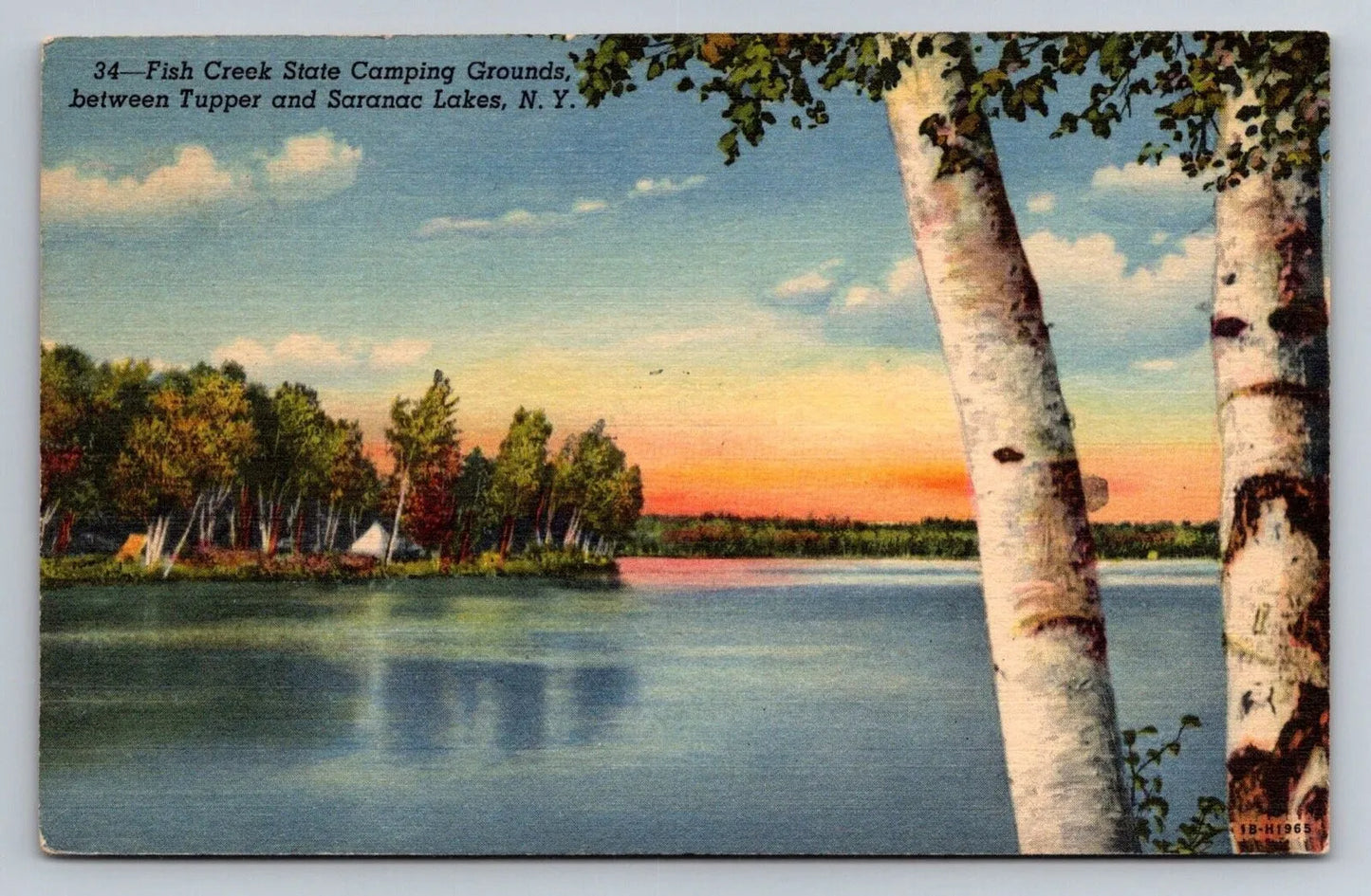 Fish Creek State Camping Grounds, Between Tupper and Saranac Lakes, NY Postcard