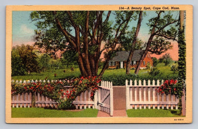 A Beauty Spot, Cape Cod, Mass. White Picket Fence Vintage Postcard - Great!