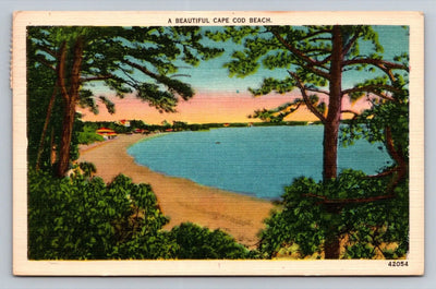 A Beautiful Cape Cod Beach, Massachusetts, New England Vintage Postcard