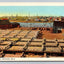 Drying Fish, Gloucester, Mass. (Massachusetts) Vintage Postcard (circa 1945)