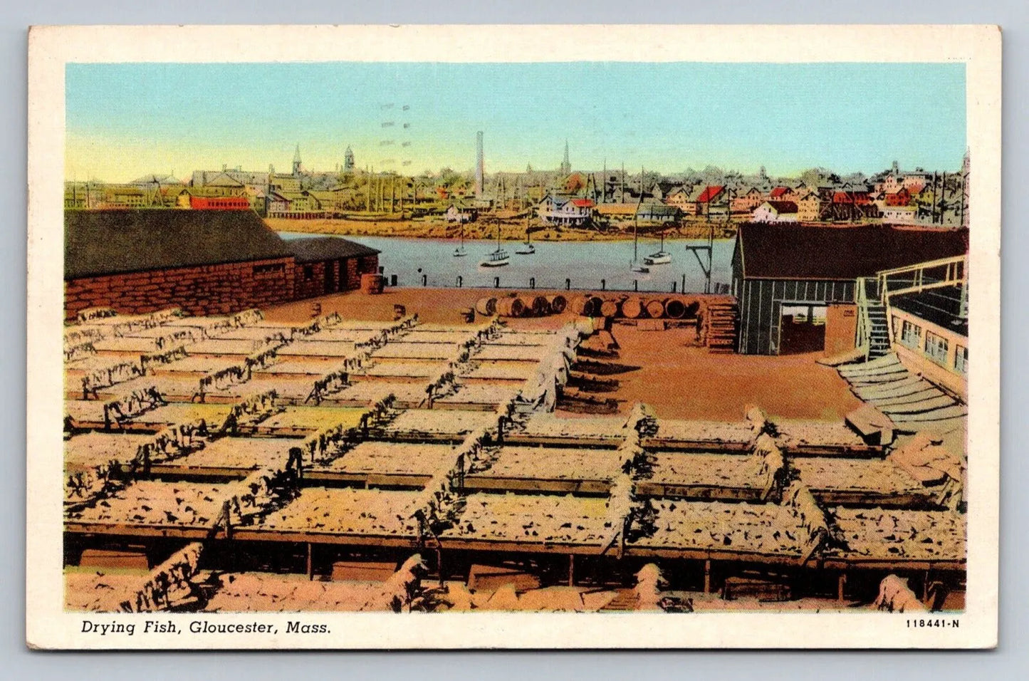 Drying Fish, Gloucester, Mass. (Massachusetts) Vintage Postcard (circa 1945)