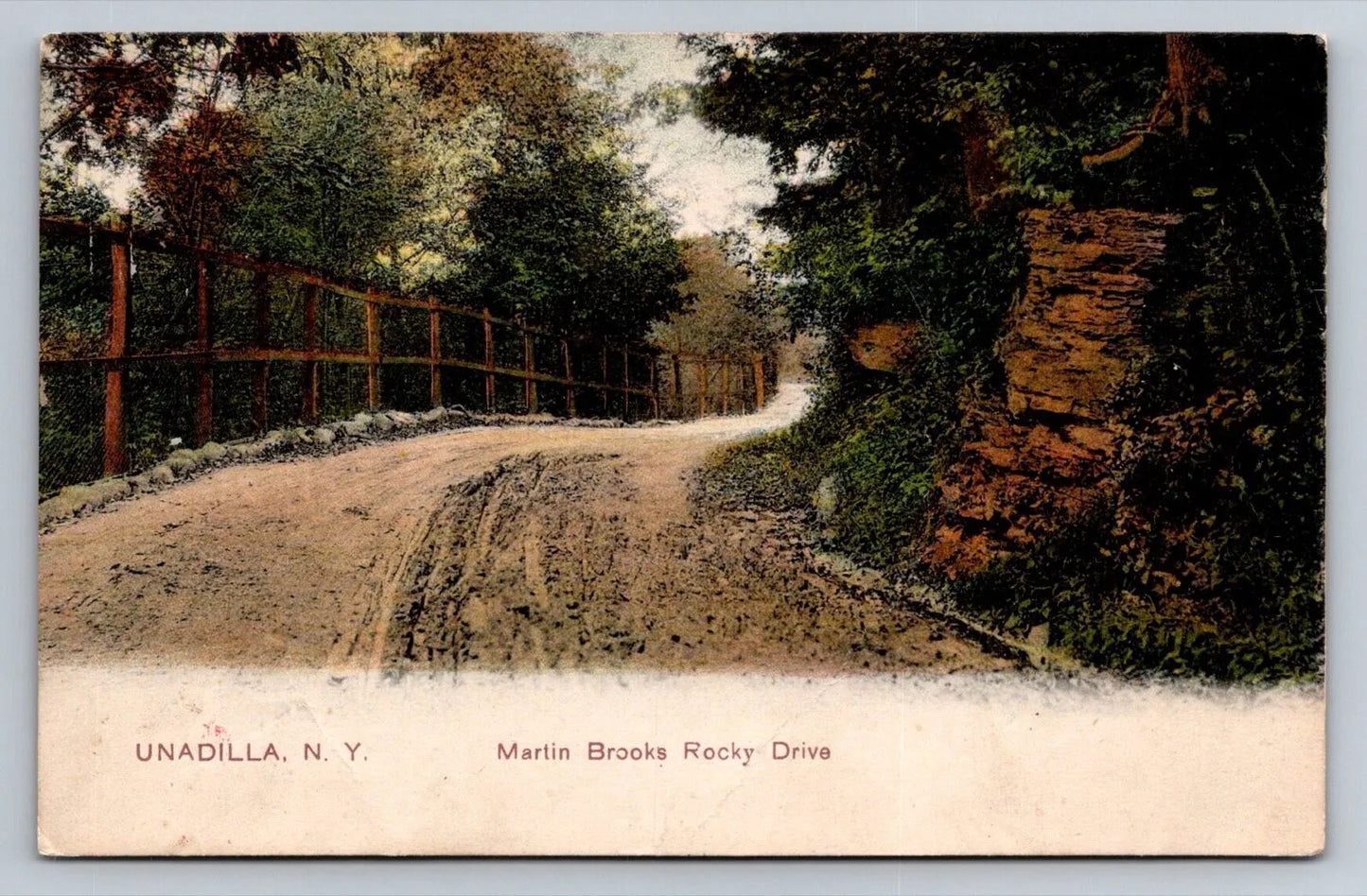 Unadilla, N. Y. Martin Brooks Rocky Drive New York Vintage Postcard