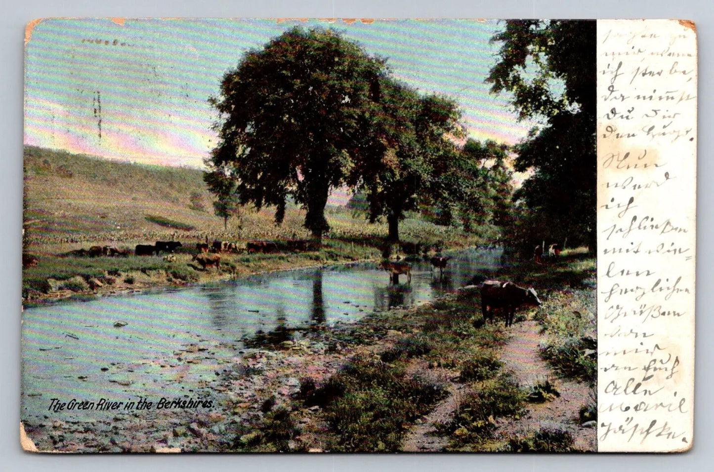 The Green River in the Berkshires, Mass. Vintage Postcard