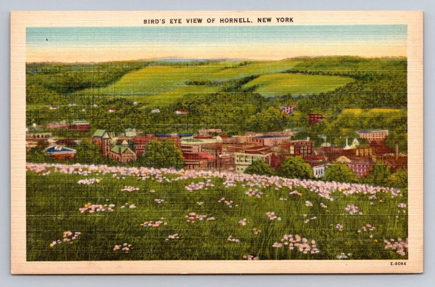 Bird's Eye View of Hornell, New York Vintage Postcard