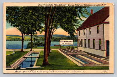 New York State Fish Hatchery, Bemus Point on Chautauqua Lake, NY Postcard