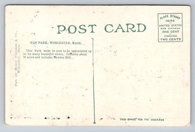 Elm Park, Worcester, Mass. - Pond, Bridge Vintage Postcard