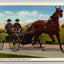 Amish Boys Out for a Drive, Lancaster County, PA Vintage Postcard