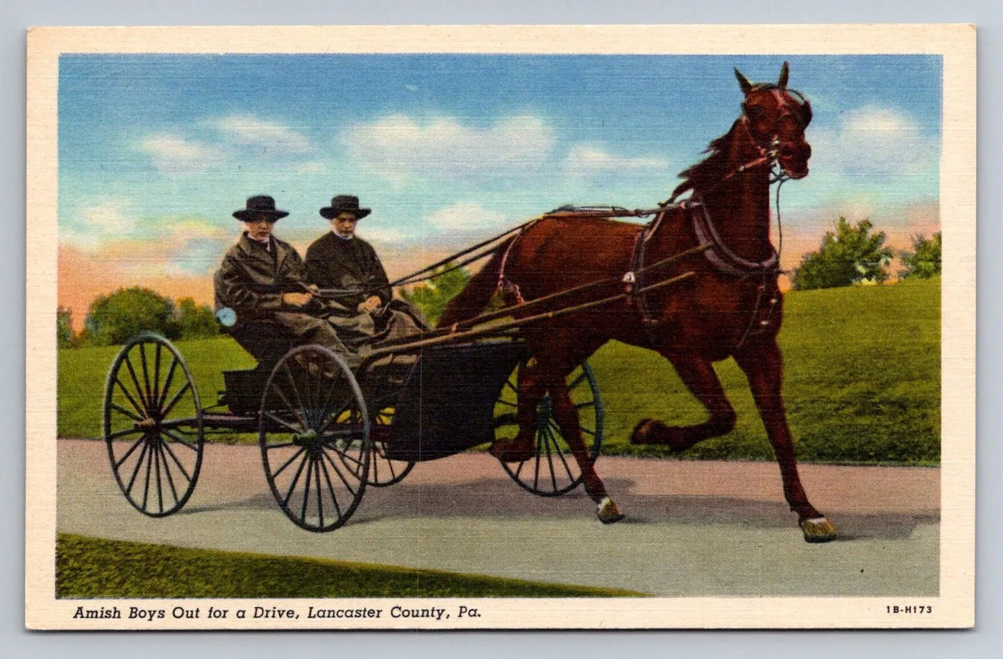 Amish Boys Out for a Drive, Lancaster County, PA Vintage Postcard