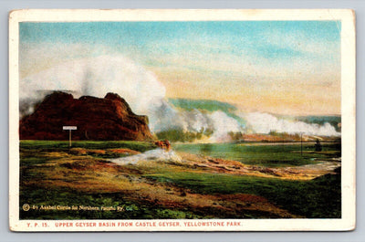 Upper Geyser Basin from Castle Geyser, Yellowstone Park, Wyoming Postcard