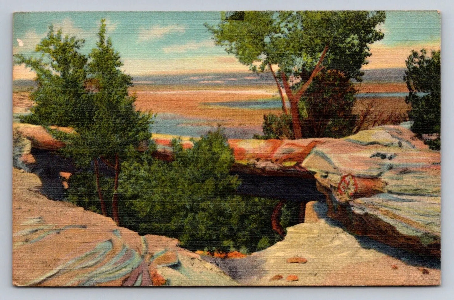 Natural Bridge, Petrified Forest, Arizona Vintage Curt Teich Postcard - Great!