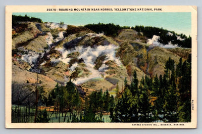 Roaring Mountain Near Norris, Yellowstone National Park, Bozeman, MT Postcard