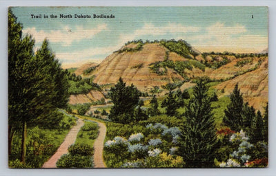 Trail in the North Dakota Badlands with Stamp Vintage Postcard AWESOME