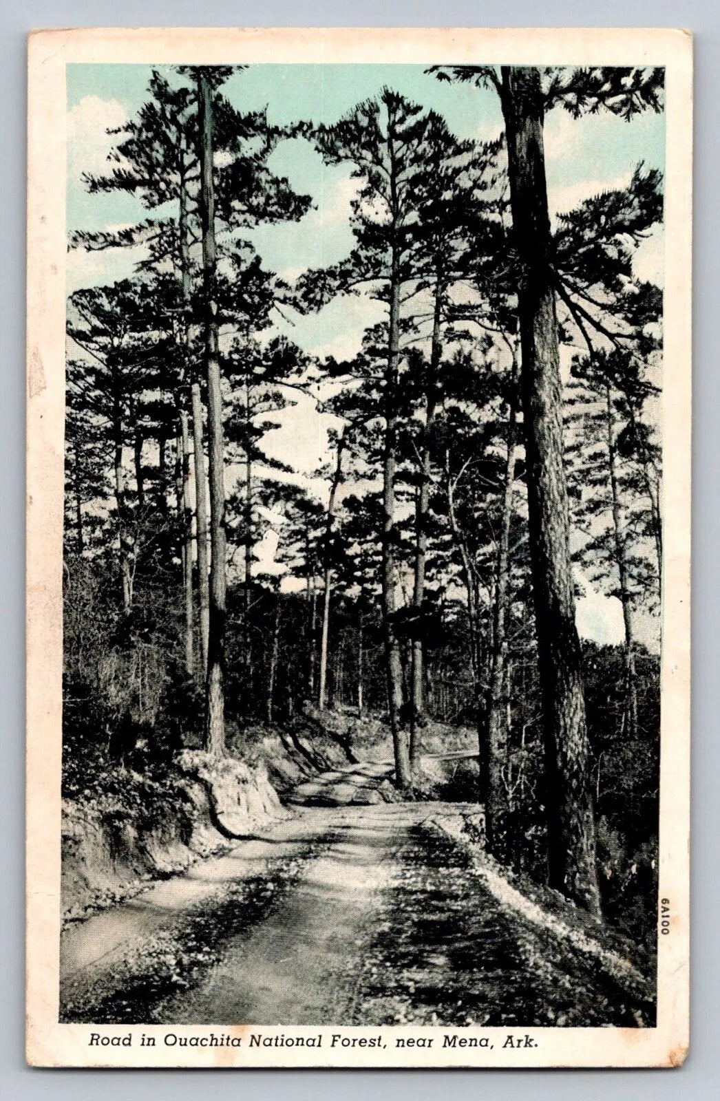 Road in Ouachita National Forest, Near Mena, Ark. Vintage Postcard