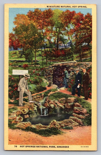 Miniature Natural Hot Spring, Hot Springs National Park, Arkansas Postcard