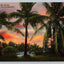 A Florida Sunset, New River, Fort Lauderdale, Palm Trees Vintage Postcard