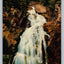 Crystal Cascade, Tuckerman's Ravine, White Mountains, NH Waterfall Postcard